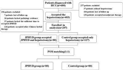 Adjuvant therapy with Jianpi Huayu decoction improves overall and recurrence-free survival after hepatectomy for hepatocellular carcinoma: a retrospective propensity score-matching study